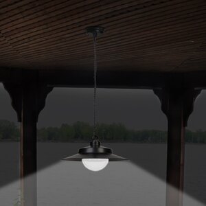 1-Light LED Outdoor Pendant