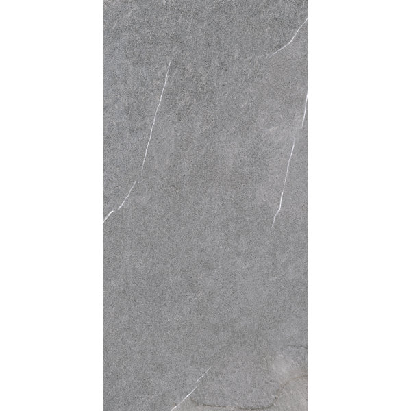 Lifestone 12 x 24 Porcelain Field Tile in Medium Gray by Madrid Ceramics