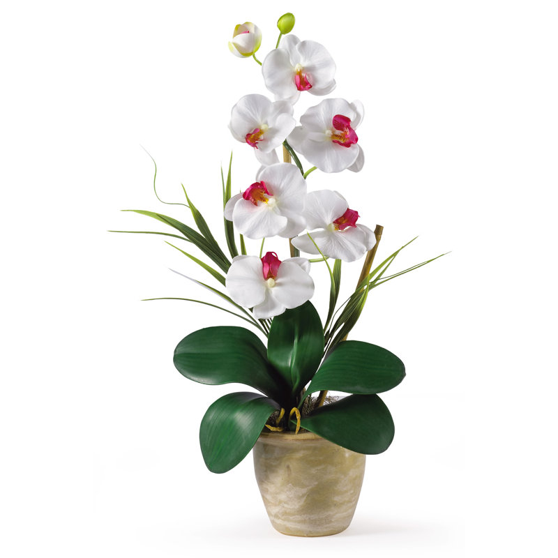 Nearly Natural Phalaenopsis Silk Orchid Flowers &amp; Reviews