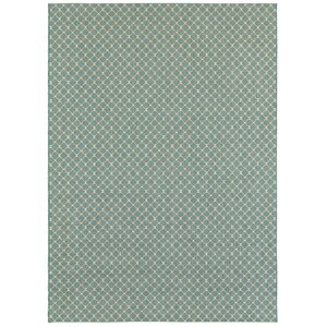 Cambridge Aquamarine Indoor/Outdoor Area Rug