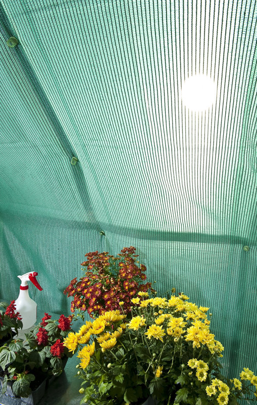 Palram Greenhouse Shade Kit & Reviews Wayfair