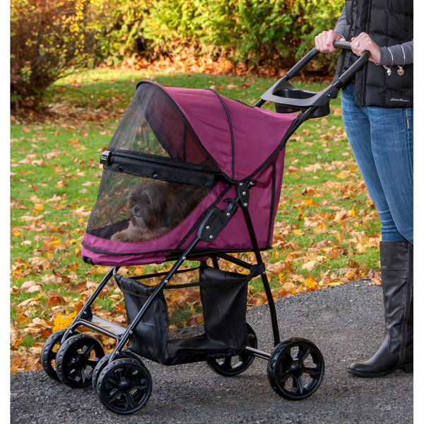 Cat Stroller Wayfair
