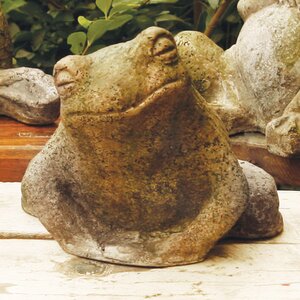 Animals Toad Dude Statue