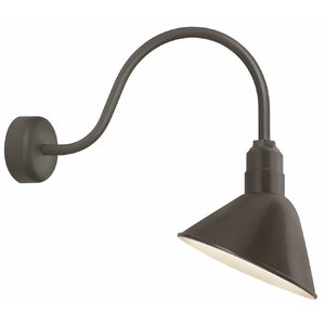 1-Light Wall Sconce