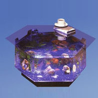 Claire 40 Gallon Alanrium Tank by Archie & Oscar