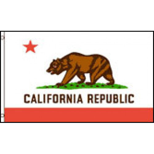 Polyester 2 x 3 ft. Flag by NeoPlex