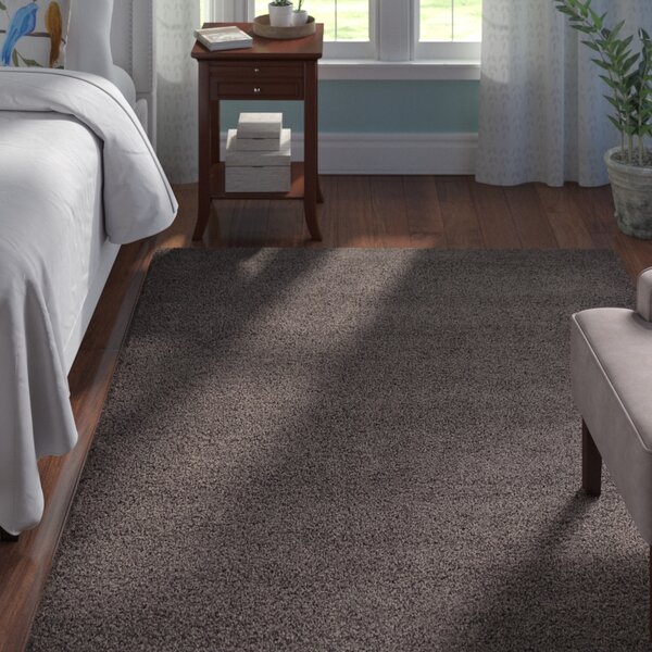 Lilah Dark Gray Area Rug by Andover Mills