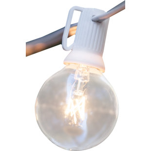 Best 25-Light 25 ft. Globe String Light By Wintergreen Lighting Outdoor Lighting 25-Light 25 ft. Globe String Light By Wintergreen Lighting Outdoor Lighting