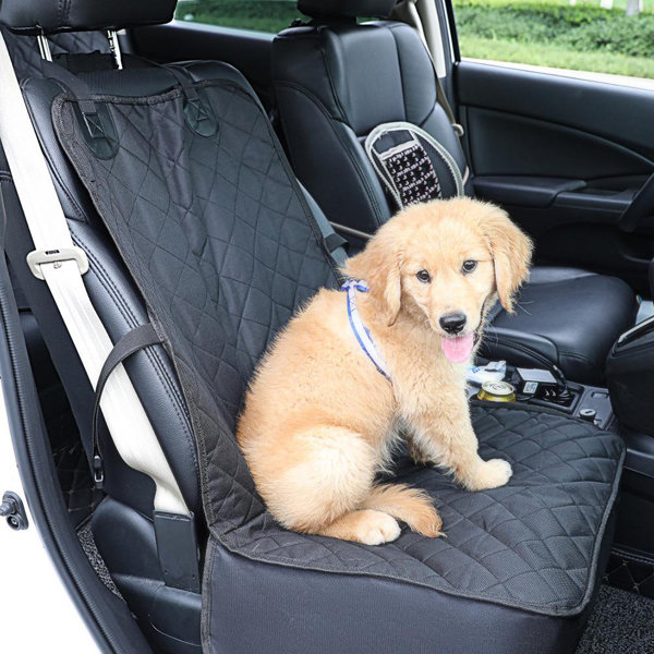 Dog car accessories clearance