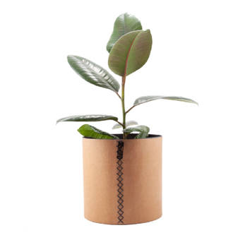 Ivy Bronx Chereen 2 Piece Pot Planter Set Wayfair