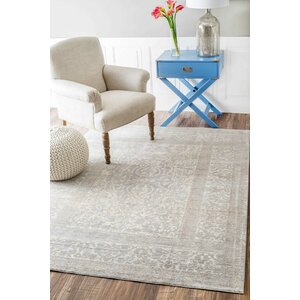 Dorothea Gray Indoor Area Rug