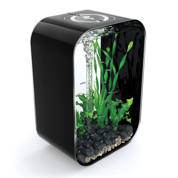 4 Gallon Life Aquarium Tank by biOrb