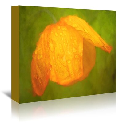 'Orange Poppy in out of the Rain' Painting Print East Urban Home Format: Canvas, Size: 24