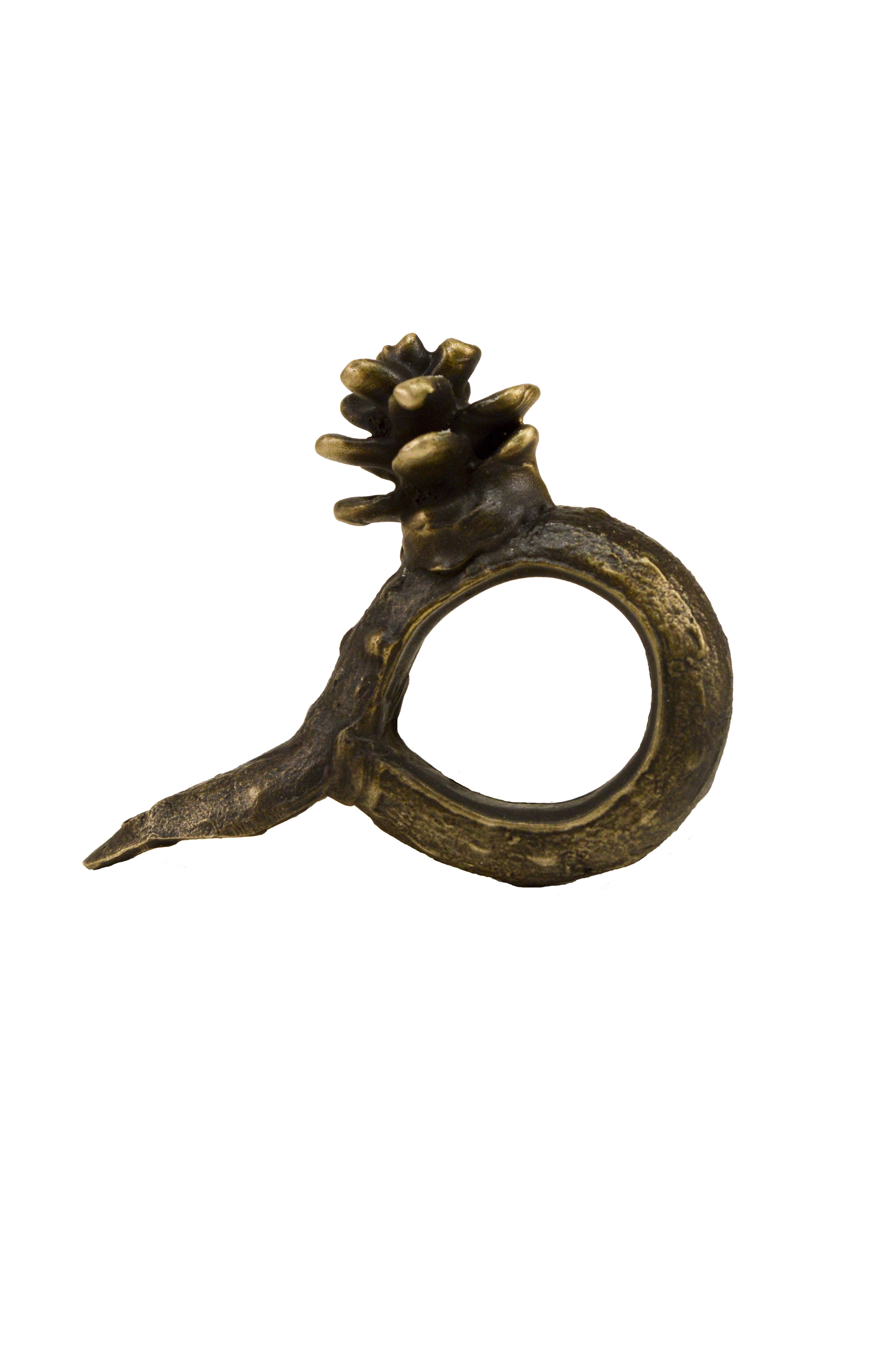 Timberbronze53 Llc Drapery Ring Wayfair