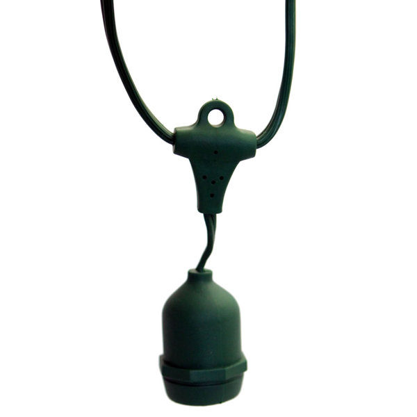 Medium Base E26 Socket 50 Light String Lighting by The Holiday Aisle