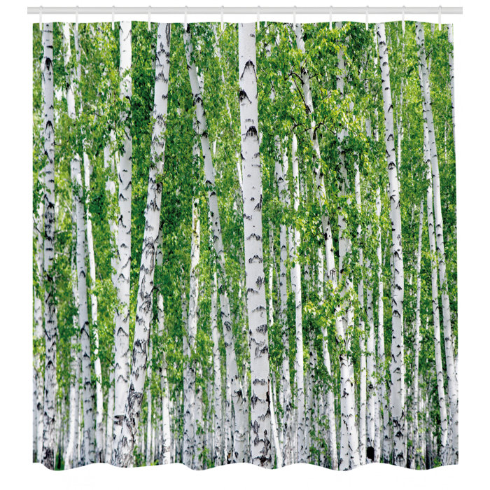 East Urban Home Birch Tree Shower Curtain Set Hooks Wayfair Ca Birch Tree Shower Curtain