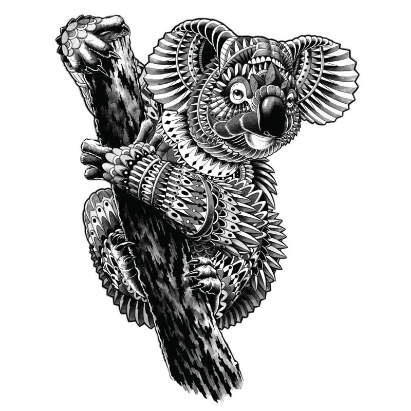 My Wonderful Walls Ornate Koala On Tree Branch By Bioworkz Wall