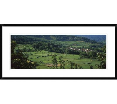 'Rice Terraced Fields' Framed Photographic Print Global Gallery Size: 19