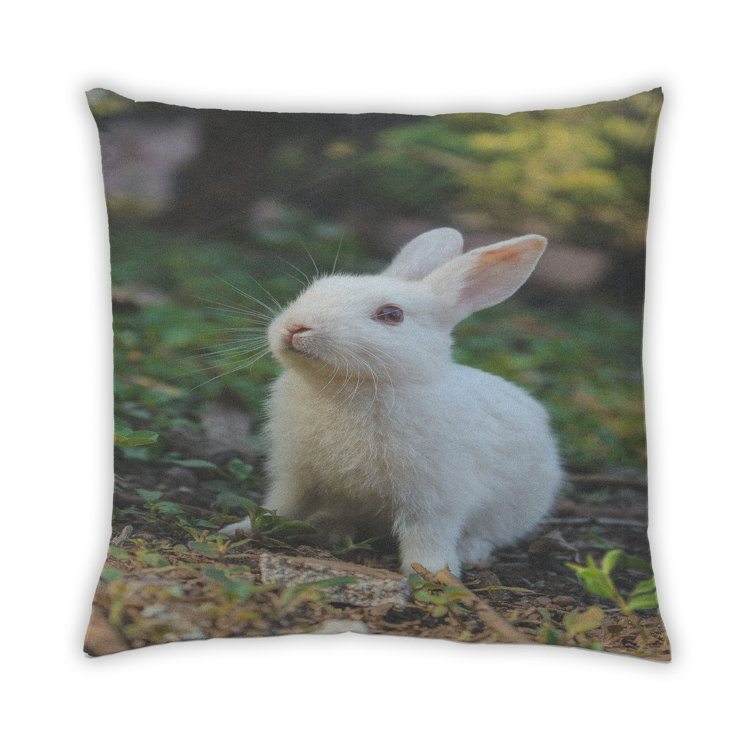rabbit pillow pet
