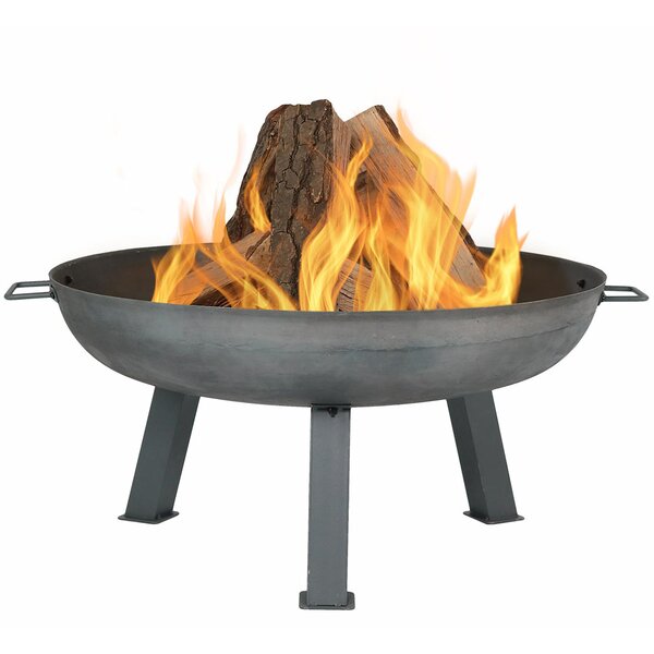 Rustic Cast Iron Wood Burning Fire Pit by Wildon Home ®