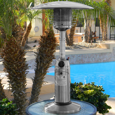 Miceli 11,000 BTU Propane Tabletop Patio Heater Arlmont & Co. Finish: Stainless Steel