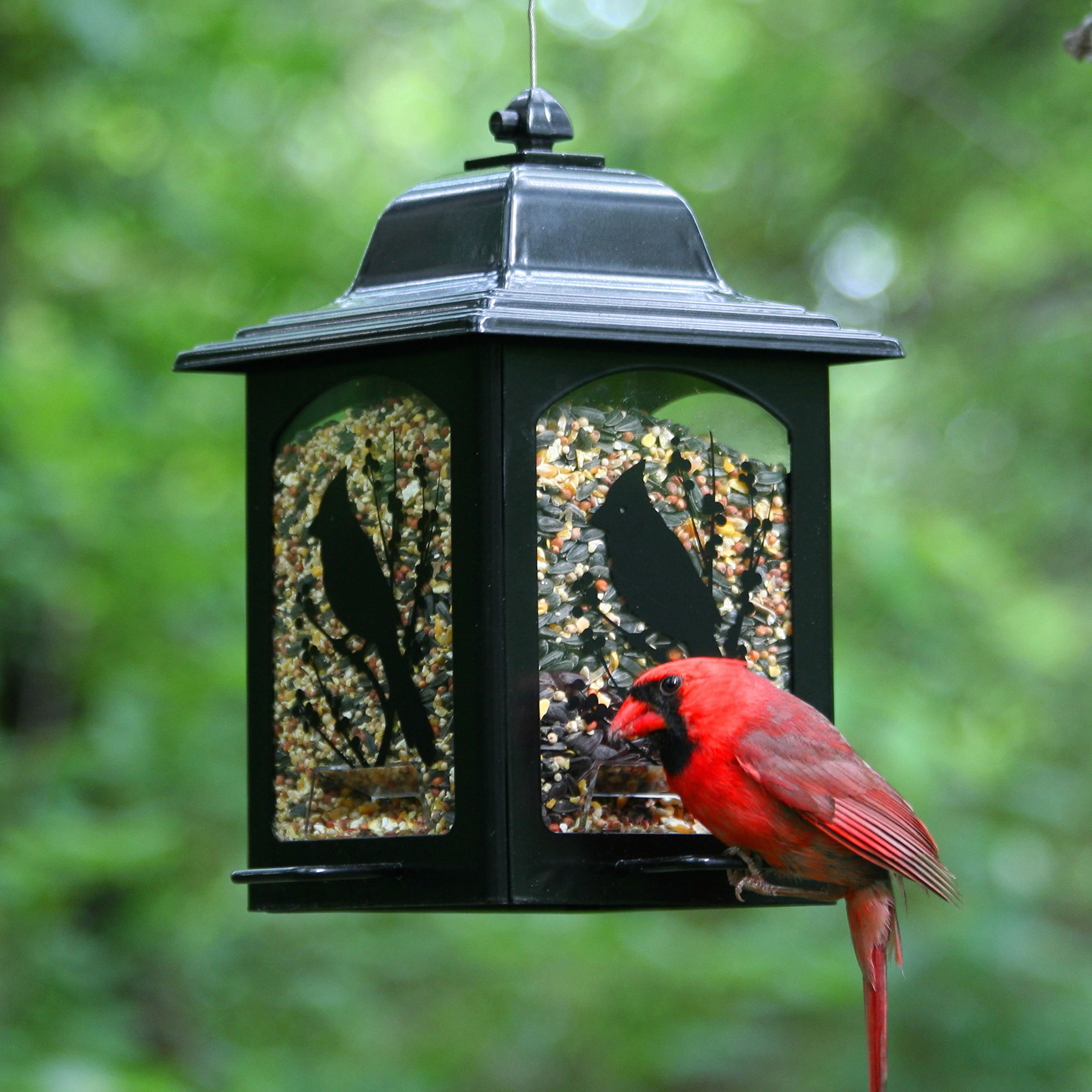 Perky Pet Birds Berries Lantern Hopper Bird Feeder Reviews