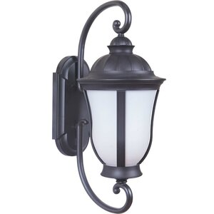 Olsson Traditional 1-Light Outdoor Wall Lantern