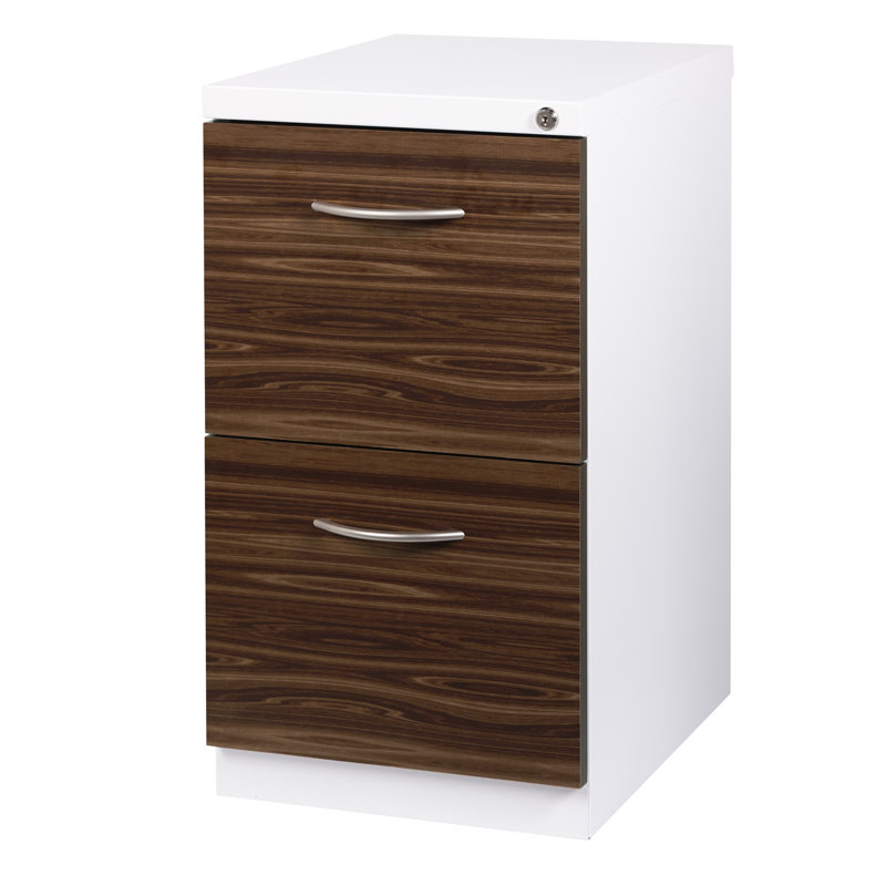Ziegler Deep Pedestal 2 Drawer Mobile Vertical Filing Cabinet