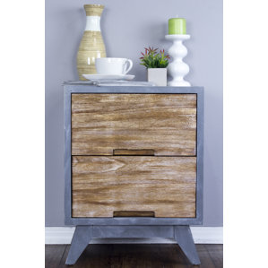 Griselda 2 Drawer Accent Chest by Union Rustic