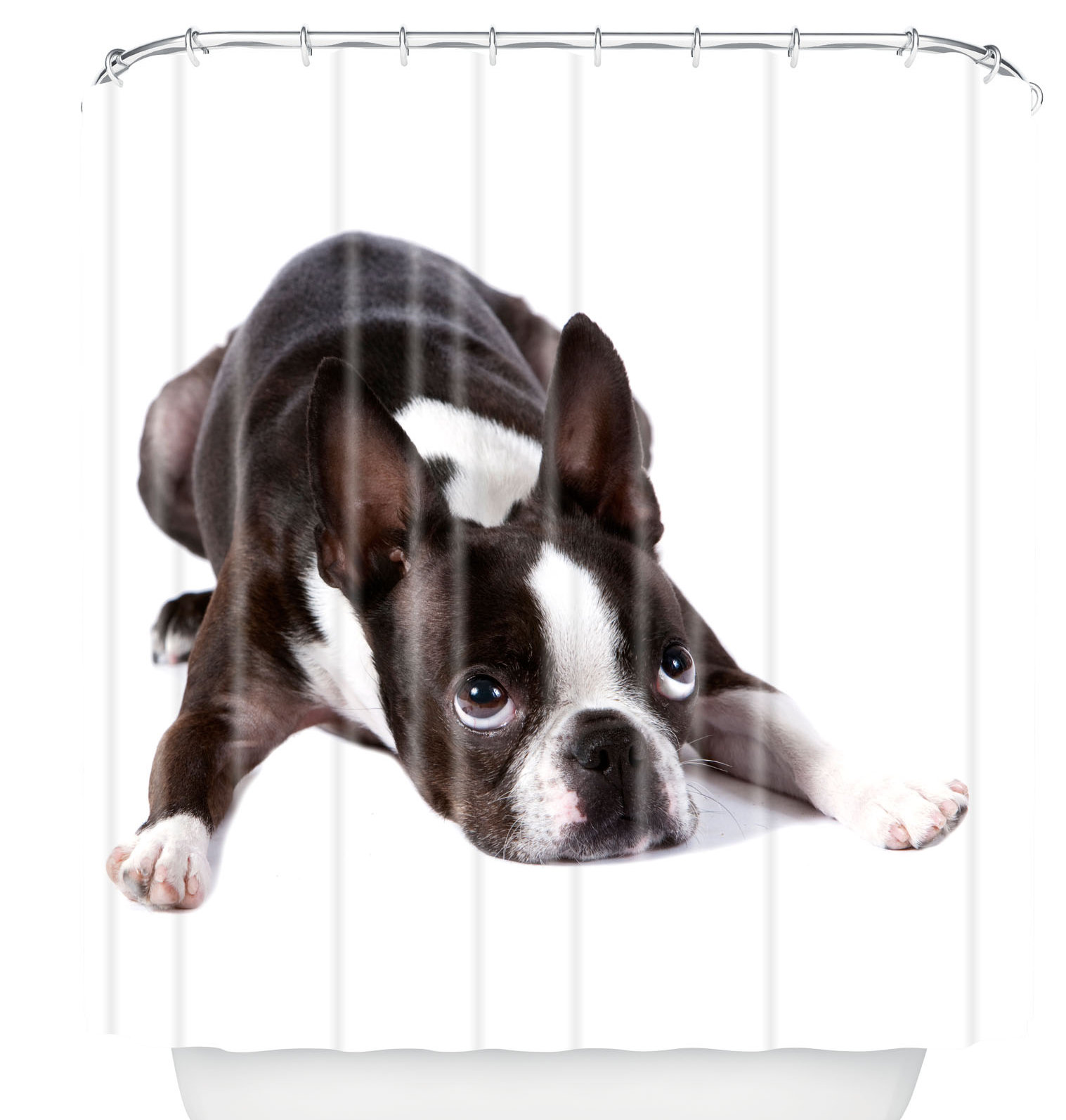 Deny Designs Susan Goddard Boston Terrier Single Shower Curtain