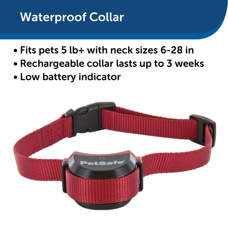 Petsafe Stay Play Wireless Fence Stubborn Dog Containment System Reviews Wayfair