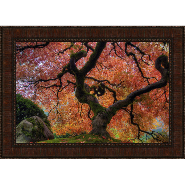 Japanese Maple Wall Art Wayfair