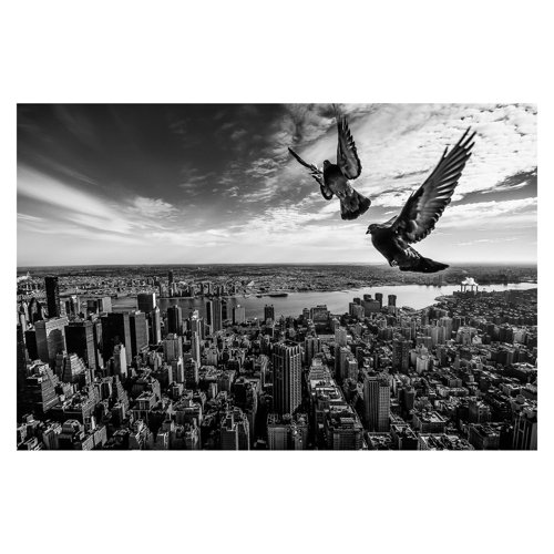 Pigeons on the Empire State Building 2.9m x 4.32m Embossed Matte Peel & Stick Wallpaper Roll East Urban Home