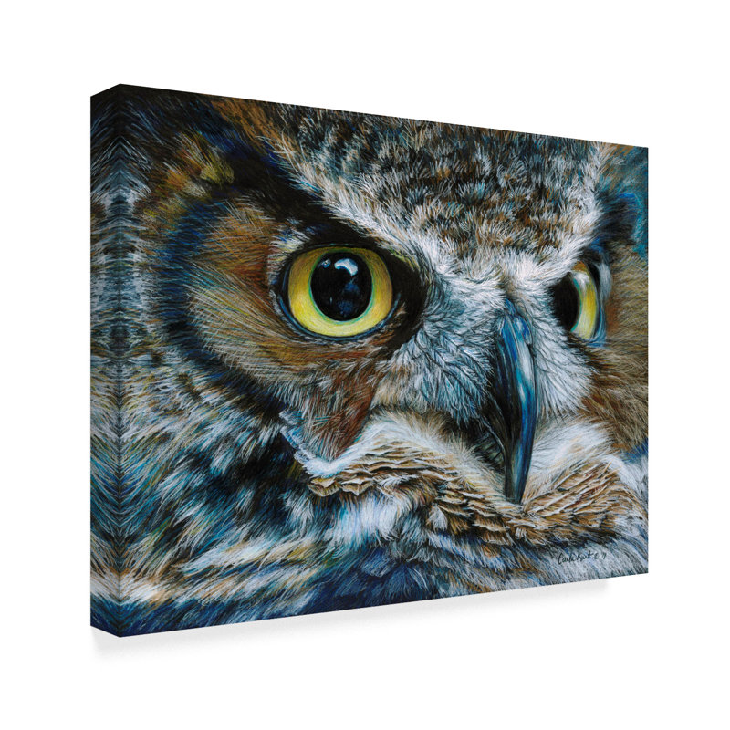 World Menagerie Dark Owl Acrylic Painting Print On Wrapped