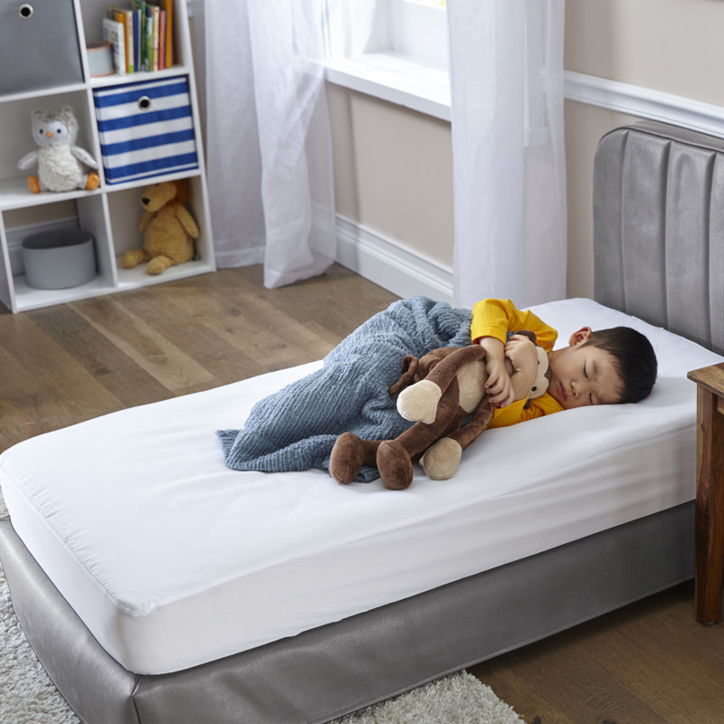 Sealy Baby Soybean Natural Dream 5 Waterproof Standard Toddler Crib Mattress Reviews Birch Lane