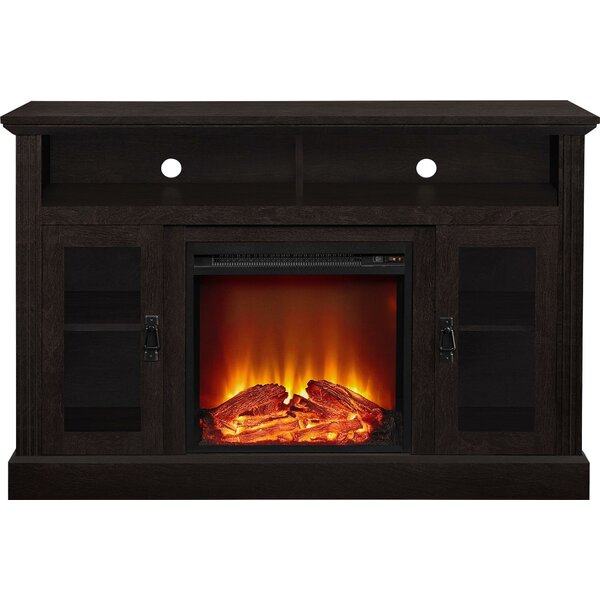 Rosier 47 TV Stand with Electric Fireplace by Darby Home Co