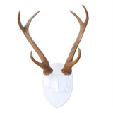 Deer Antlers Wall Decor Wayfair Ca