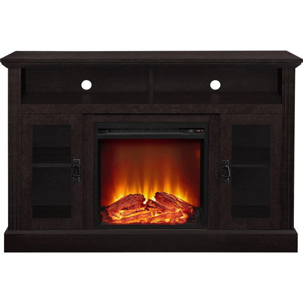 Rosier 47 TV Stand with Electric Fireplace by Darb