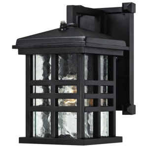 Thomsen 1-Light Outdoor Wall Lantern