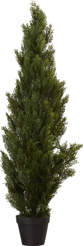 Loon Peak Mini Cedar Tree in Pot & Reviews | Wayfair