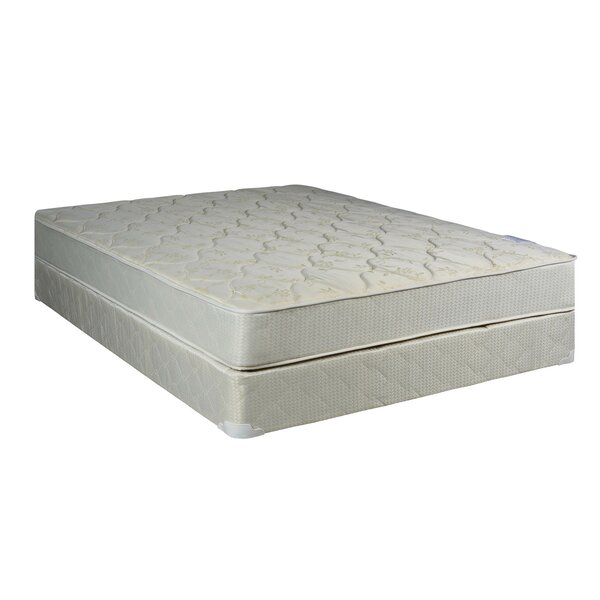 8 Firm Innerspring Mattress With Box Spring by Spinal Solution