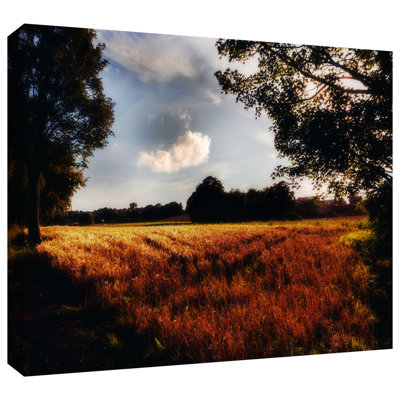 Farmville by John Black Photographic Print on Wrapped Canvas ArtWall Size 12 H x 18 W