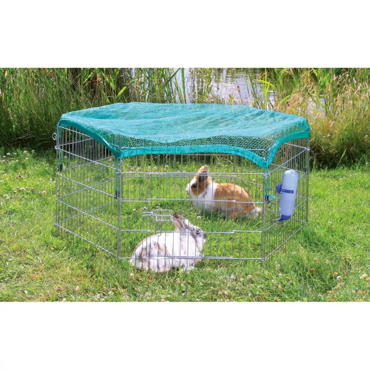 Archie Oscar Kaninchenfreigehege Cannock Mit Schutznetz Wayfair De