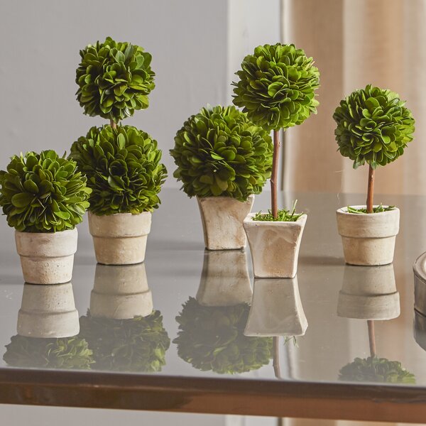 Gaudreau Mini 5 Piece Topiary Set by One Allium Way
