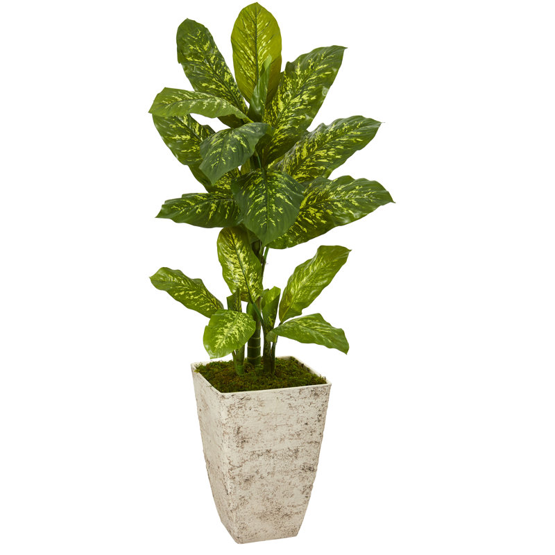 Winston Porter 51&quot; Artificial Dieffenbachia Plant in