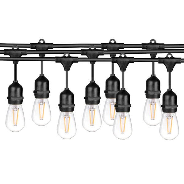Outdoor Waterproof Edison Bulbs Ledpax String Lights by Williston Forge