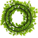Front Door Initial Wreaths Wayfair Ca
