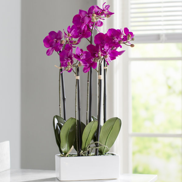Artificial Orchid Flowers in Vase by Mercer41