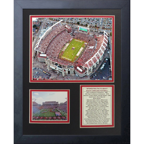 South Carolina Gamecocks Williams-Brice Stadium Framed Memorabilia by Legends Never Die