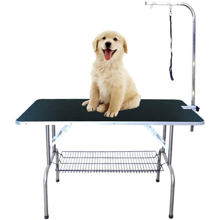 dog drying table